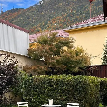 Marvellous Cozy In Old Center Town